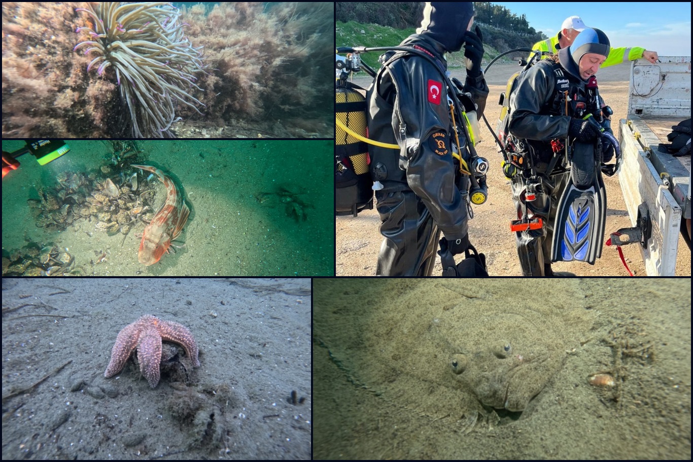 Marmara Denizi’nde hayalet ağ tehdidine karşı kapsamlı araştırma başlatıldı;
