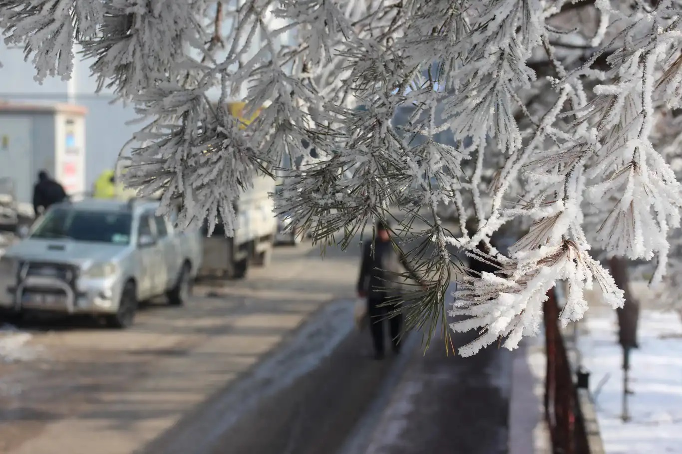 Meteoroloji'den kuvvetli yağış, sis ve don uyarısı;