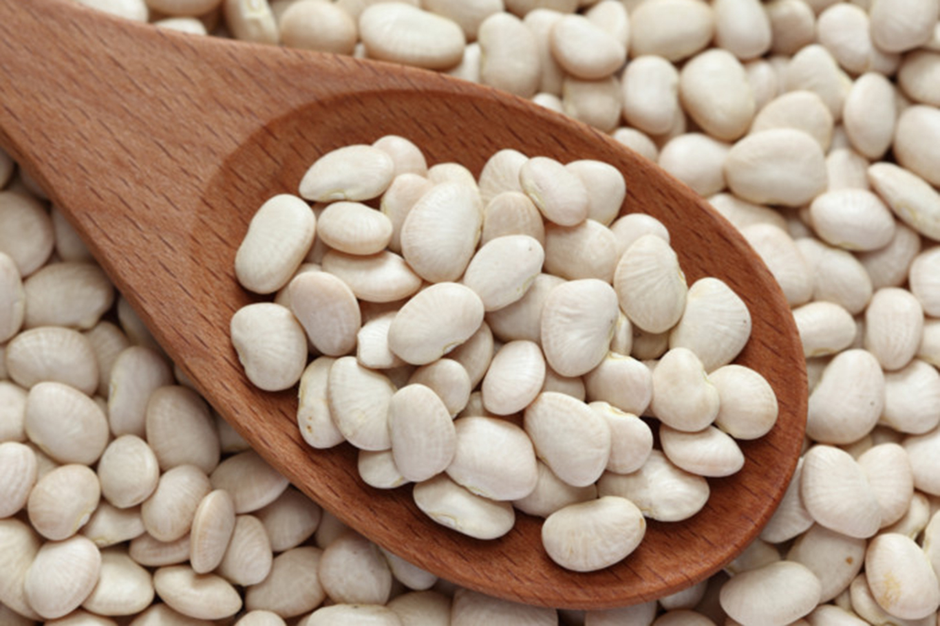 DMM'den "kuru fasulye krizi" iddiasına yalanlama