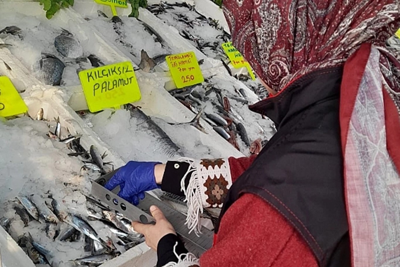 Şanlıurfa’da balık tezgâhları denetlendi;