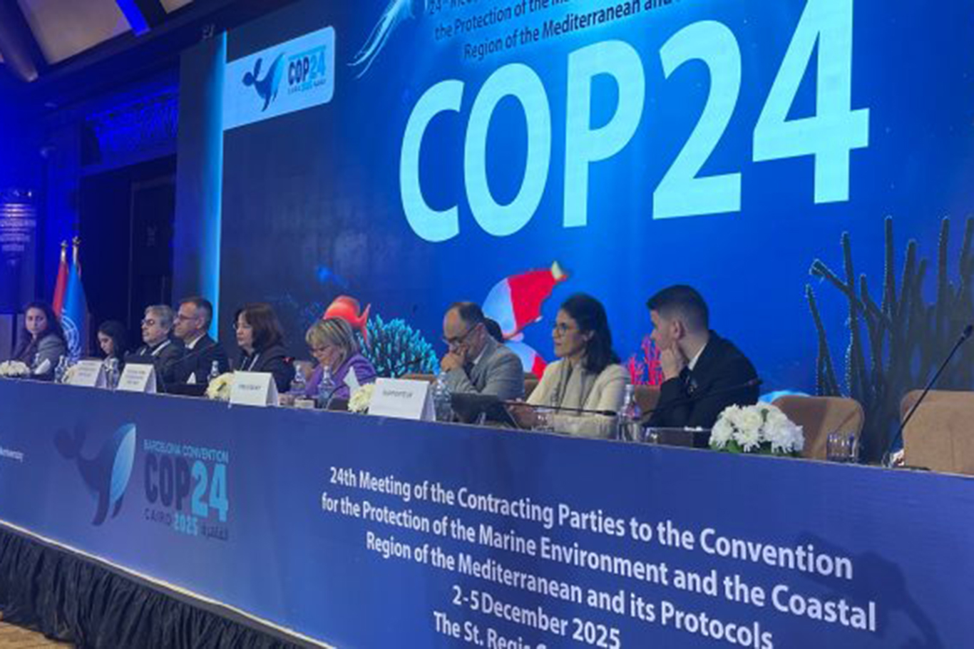 Mısır'da yapılan COP24'te Kahire Deklarasyonu kabul edildi;