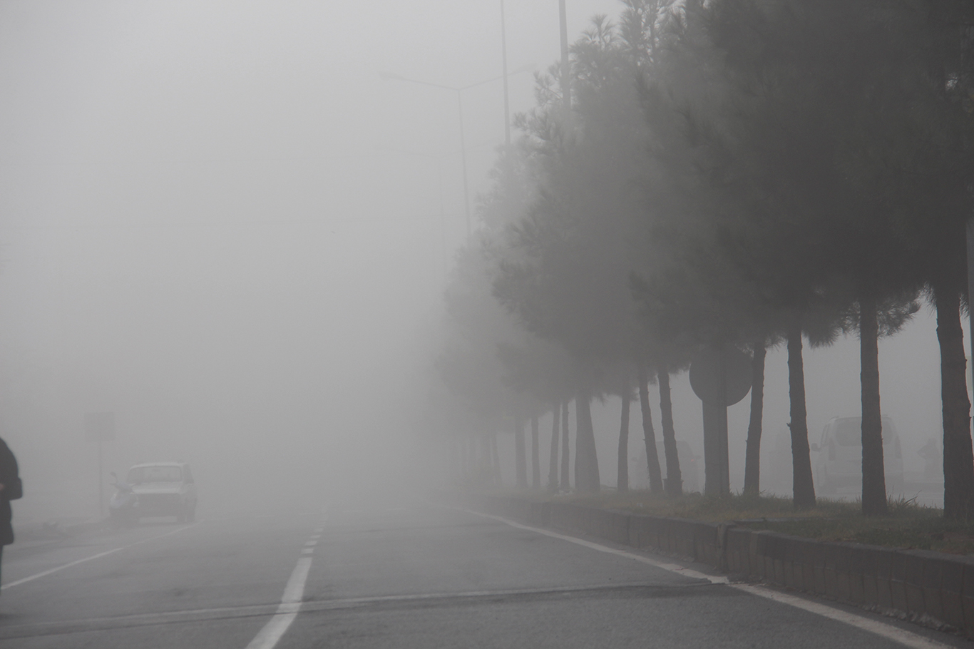 Diyarbakır’da yoğun sis etkili oldu;