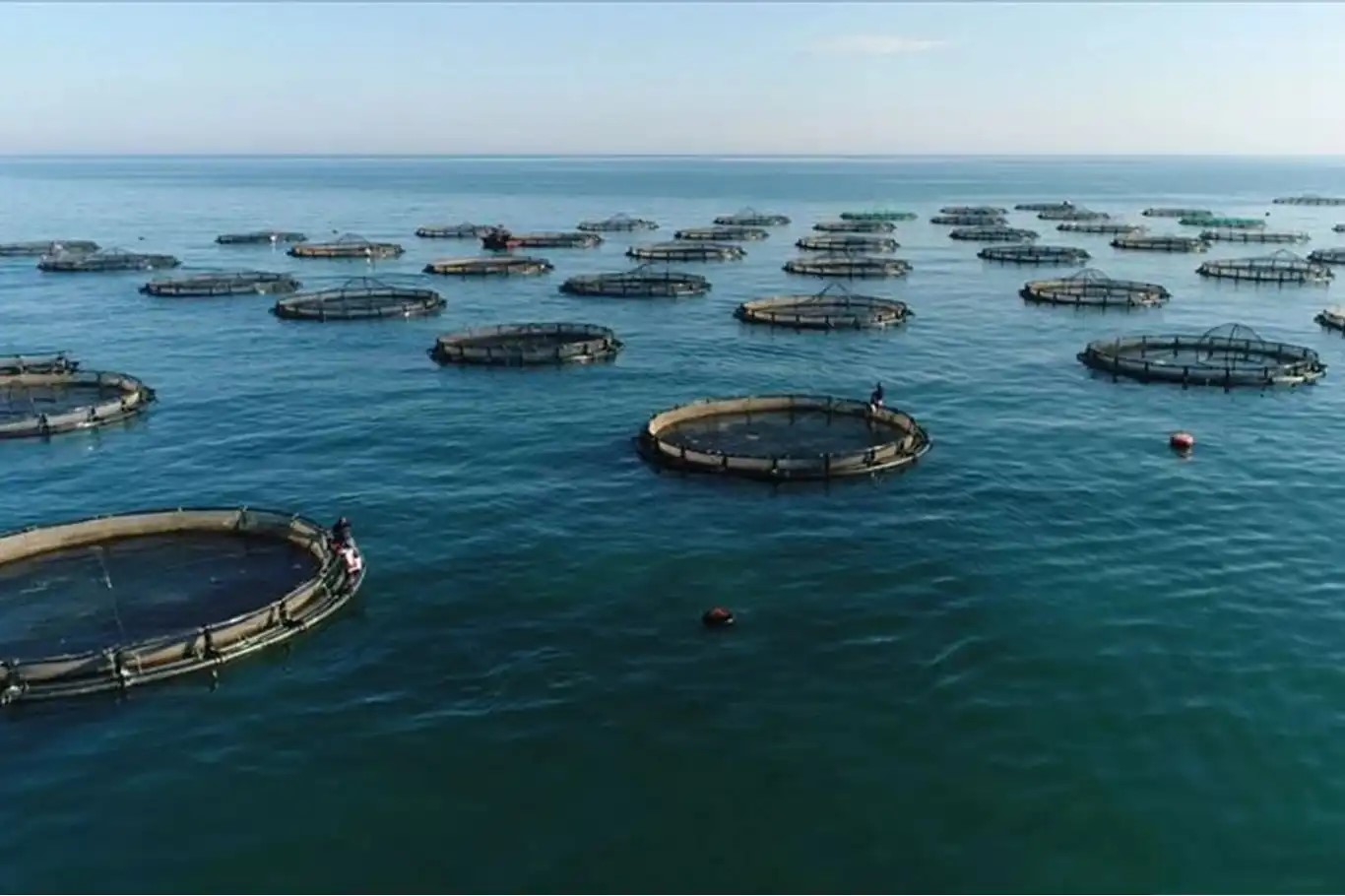 Su ürünleri avcılığı sözleşmeli üretim kapsamına alındı;