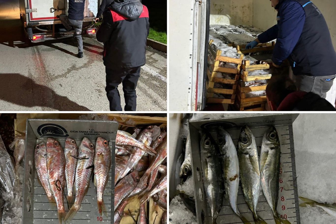 Bursa balık halinde denetim: 141 kg balığa el konuldu;