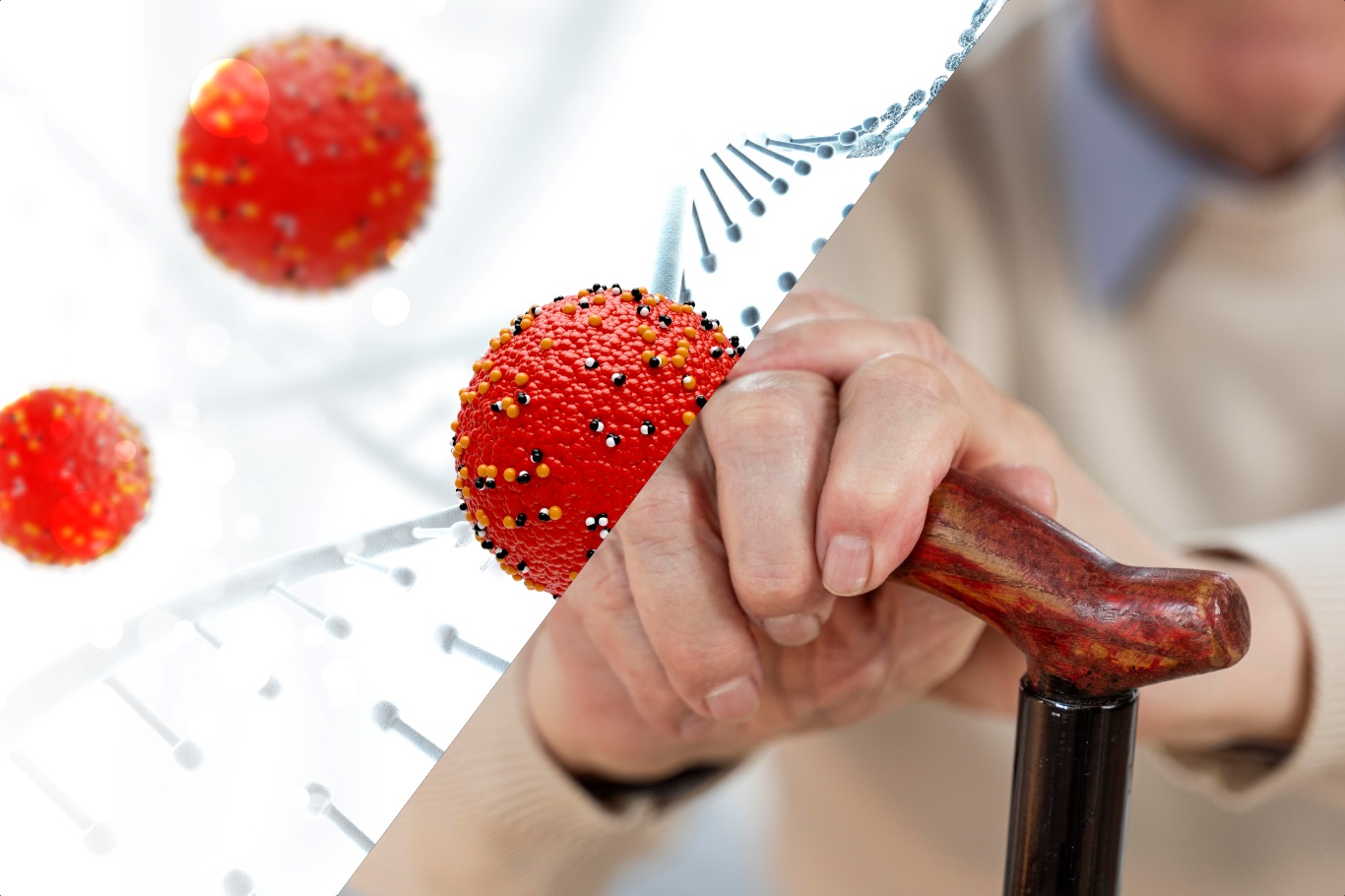 Bilim adamları: mRNA tedavisi, yaşlanan bağışıklık sistemini canlandırabilir