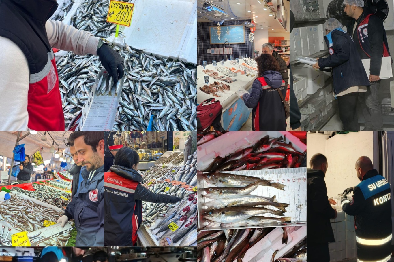 İstanbul’da mevzuata aykırı avlanan 3,5 ton su ürününe el konuldu