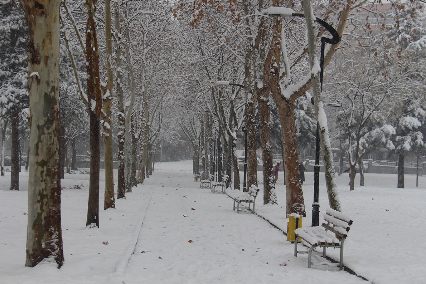Meteoroloji'den kuvvetli yağış, fırtına ve çığ uyarısı