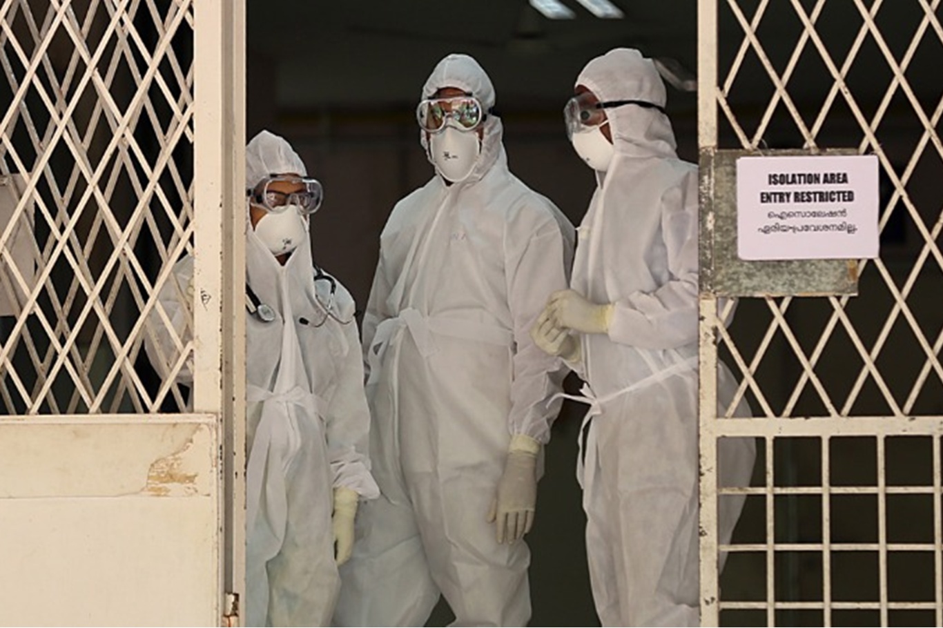 Hindistan'da yarasa kaynaklı Nipah virüsü salgını meydana geldi