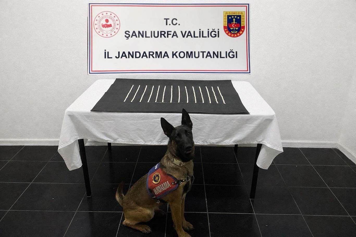 Şanlıurfa’da uyuşturucu operasyonu: 664 adet captagon ele geçirildi