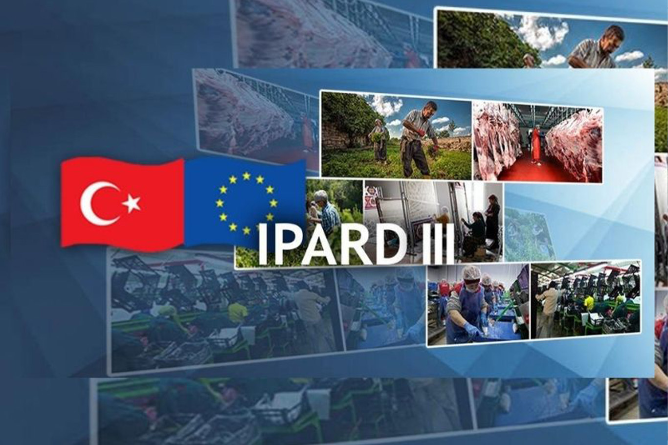 Tarım Bakanlığından 214 projeye 1,7 milyar TL hibe 