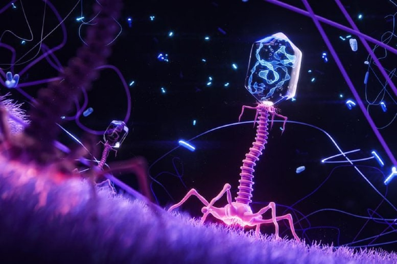 Antibiyotik direncine karşı sentetik virüs umudu