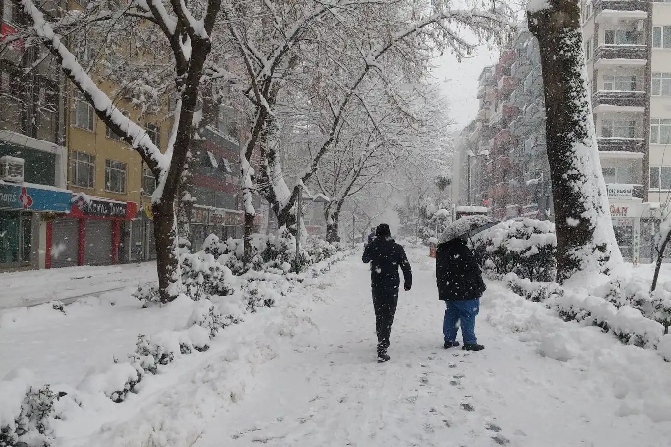 Doğuda 3 ilde kuvvetli kar yağışı bekleniyor