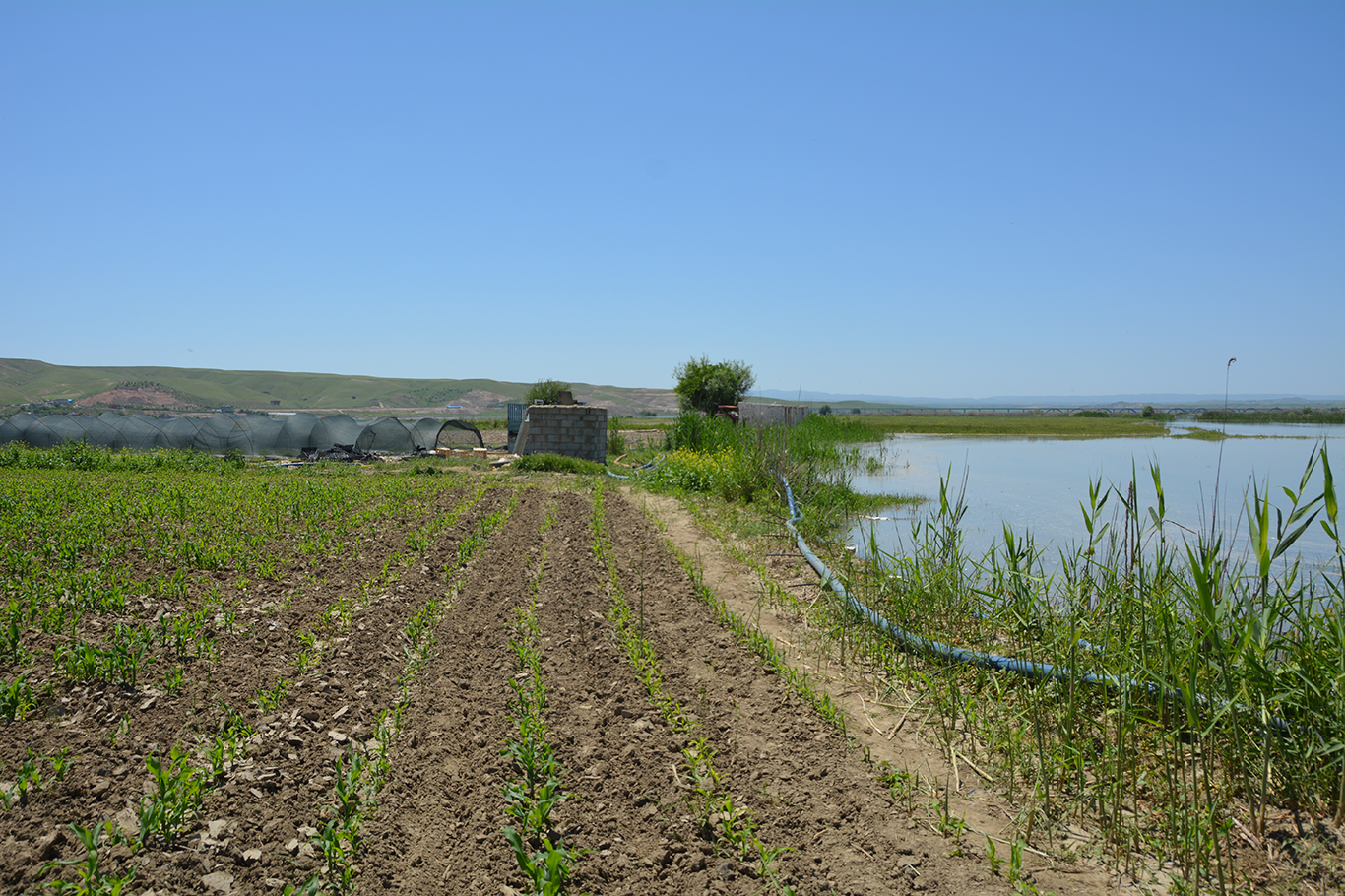 Batman'da çiftçilere kritik uyarı: Barajdan su bırakılacak