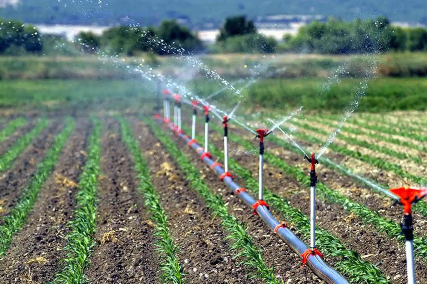 Çiftçilere tarımsal destekleme ödemesi bugün yapılıyor