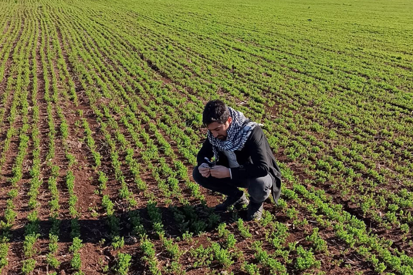 Ziraat mühendislerinden çiftçilere kritik uyarılar