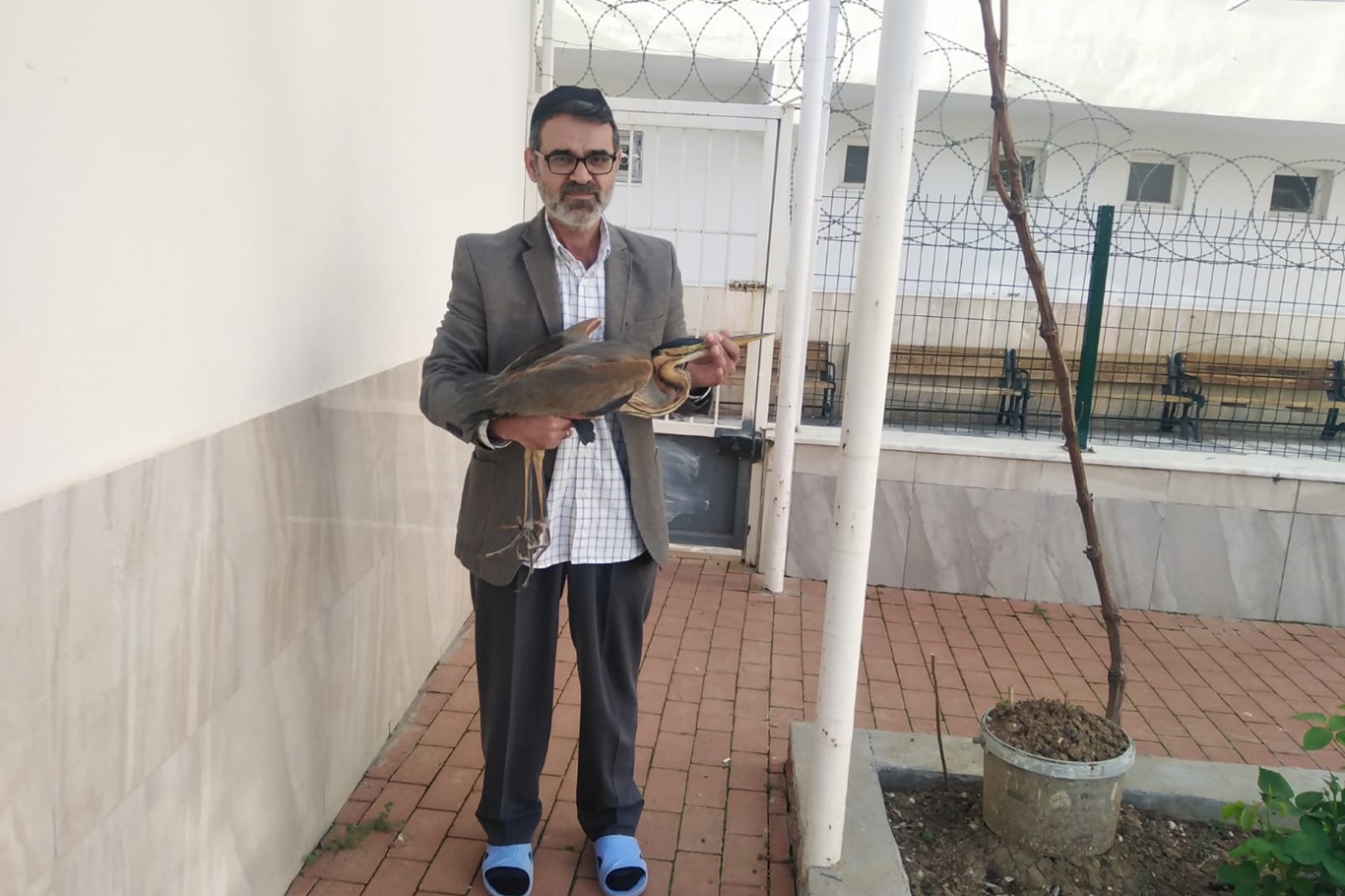 Yaralı balıkçıl kuşu cami avlusuna sığındı