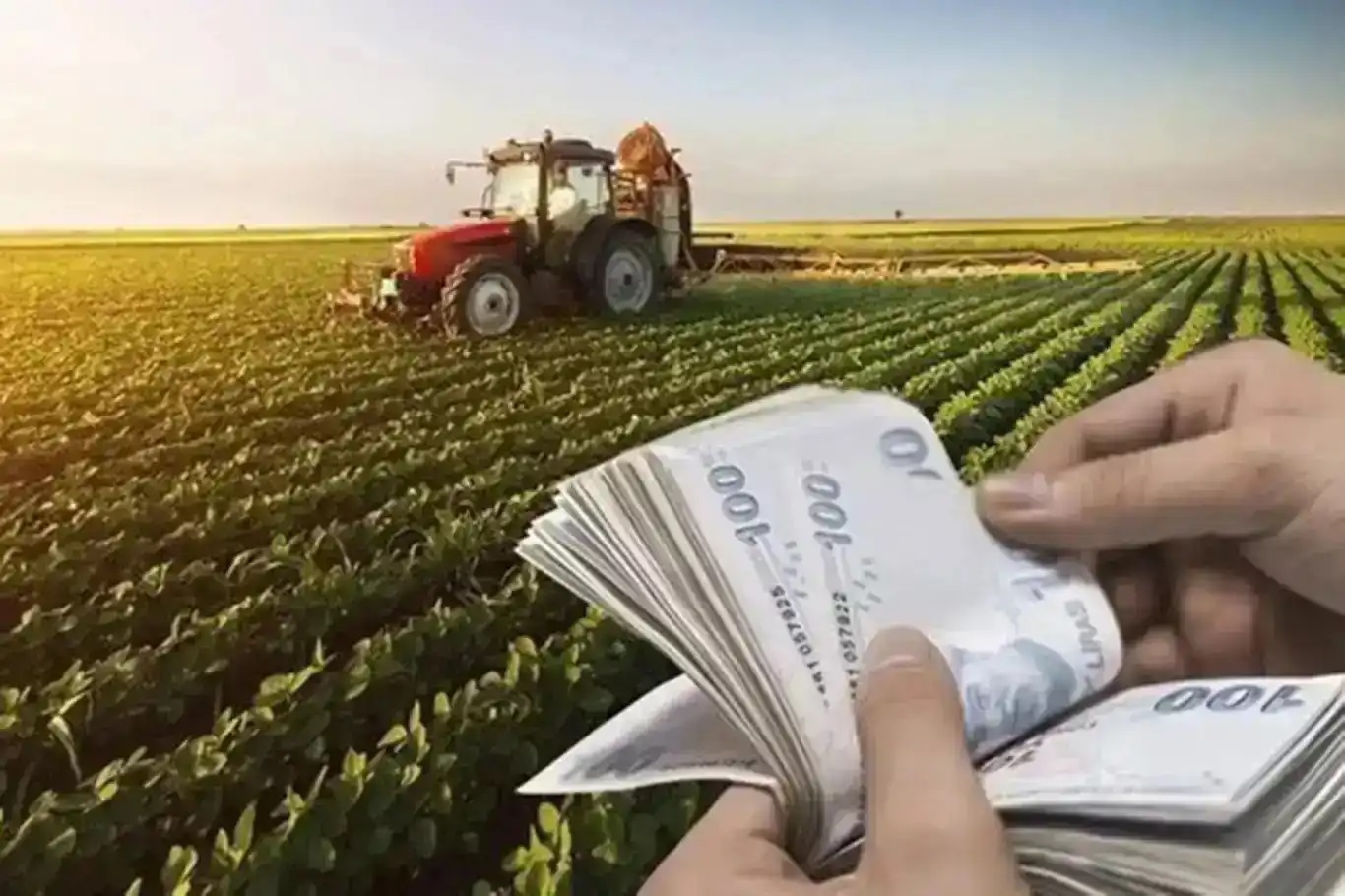 Tarımsal destek ödemeleri bugün yapılacak