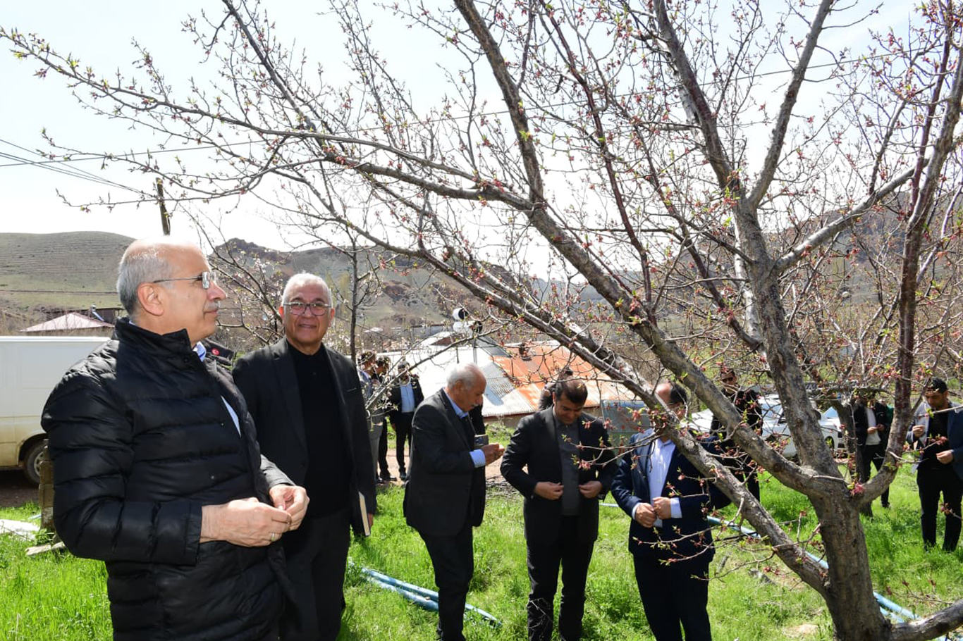 Büyükşehir Belediye Başkanı Er: Dolu yağışı nedeniyle ortaya çıkan hasar raporlanıp ilgili mercilere sunulacak
