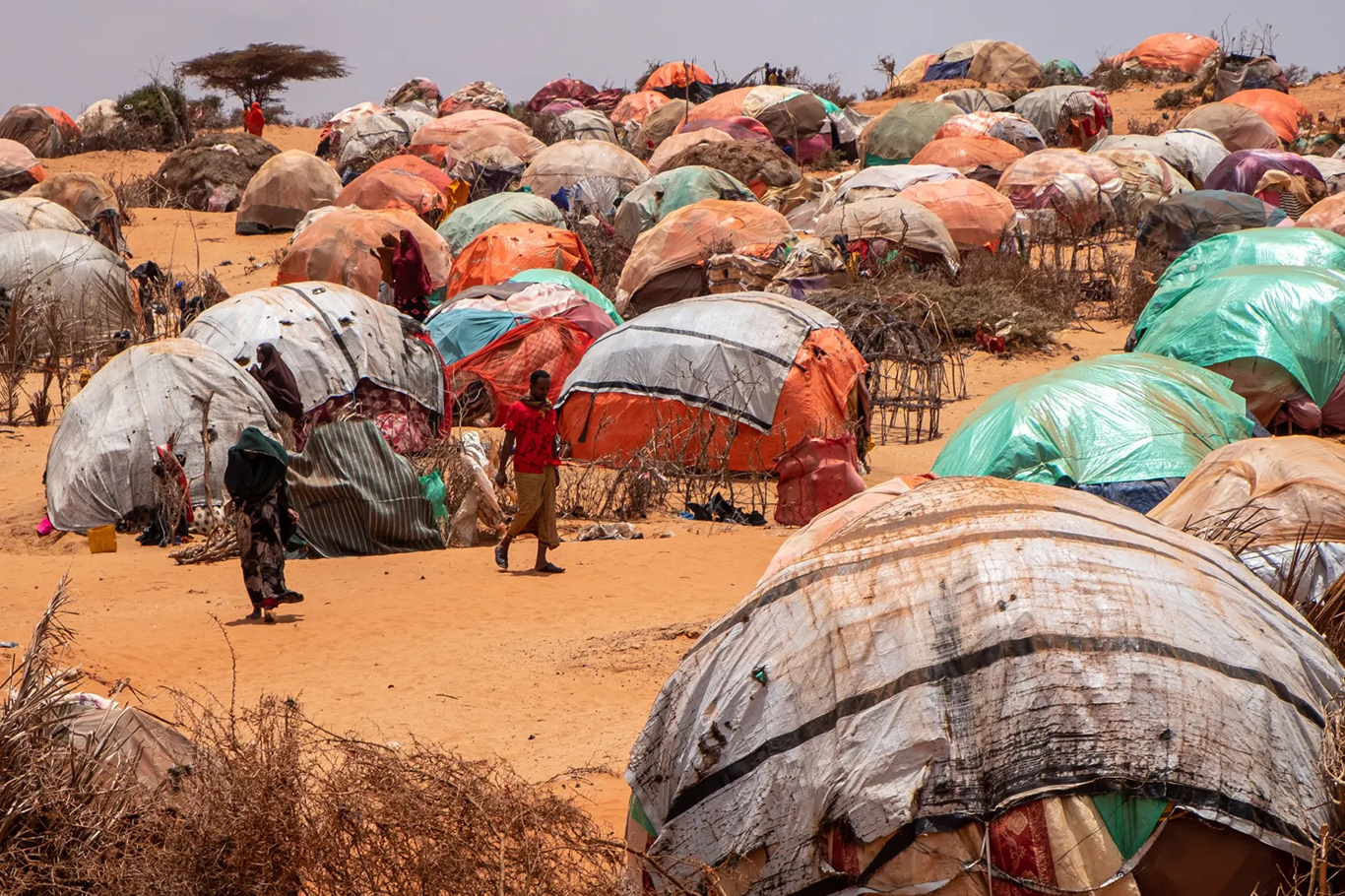 Somali’de açlık krizi derinleşiyor: Yarım milyondan fazla kişi yerinden edildi