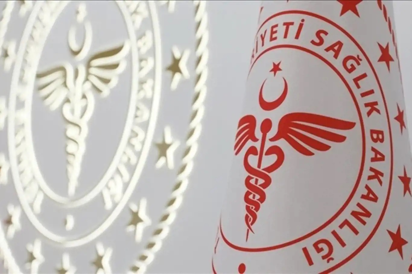 Sağlık Bakanlığı: Türkiye'ye getirilen vatandaşlarımızın hantavirüs test sonuçları negatif
