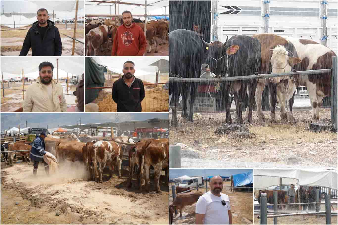 Besicilerin kurban pazarındaki zorlu mesaisi: Yetersiz altyapı mağduriyeti artırıyor