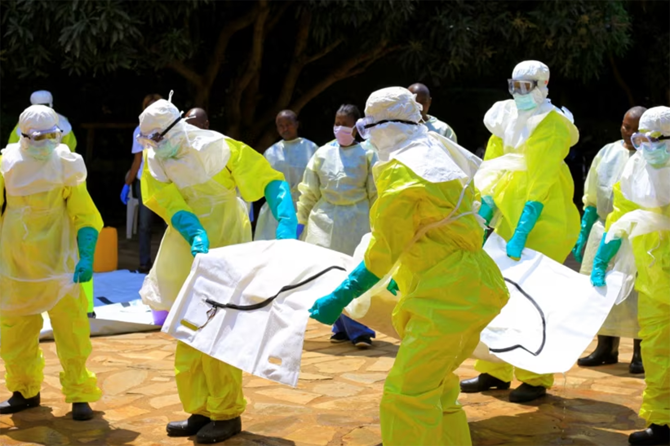 Kongo Demokratik Cumhuriyeti'nde Ebola salgını: 246 ölü, 1077 vaka 