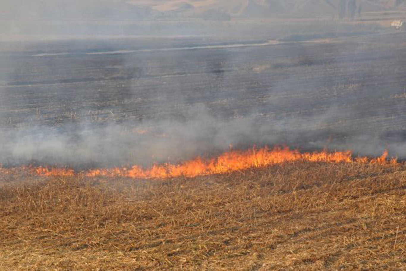 Şanlıurfa yangın çemberinde: TEMA’dan acil tedbir çağrısı