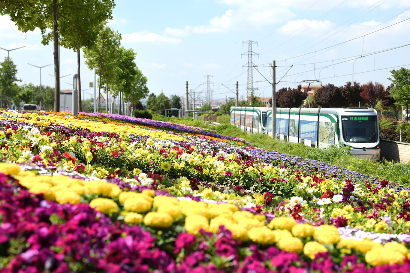 Konya’da park ve caddeler çiçeklerle renklendirildi