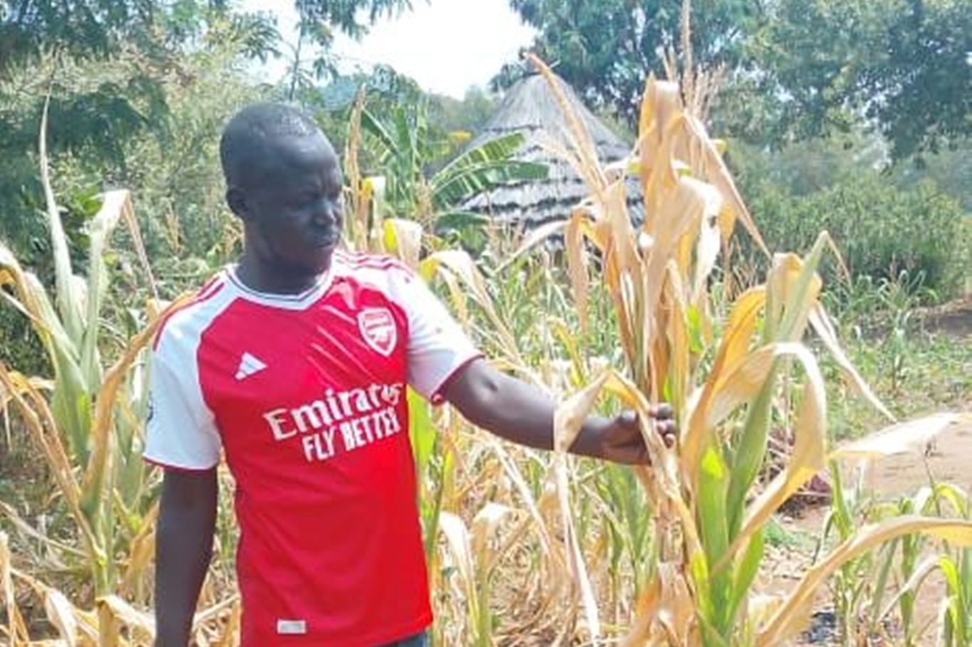 Uganda'da kıtlık: 16 ölü