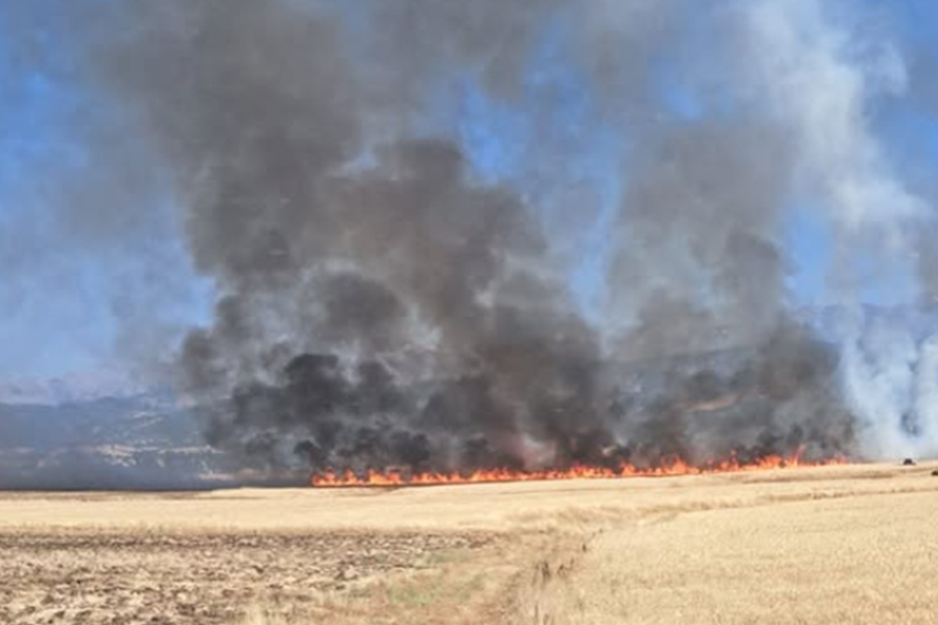 Bingöl’de arazi yangını