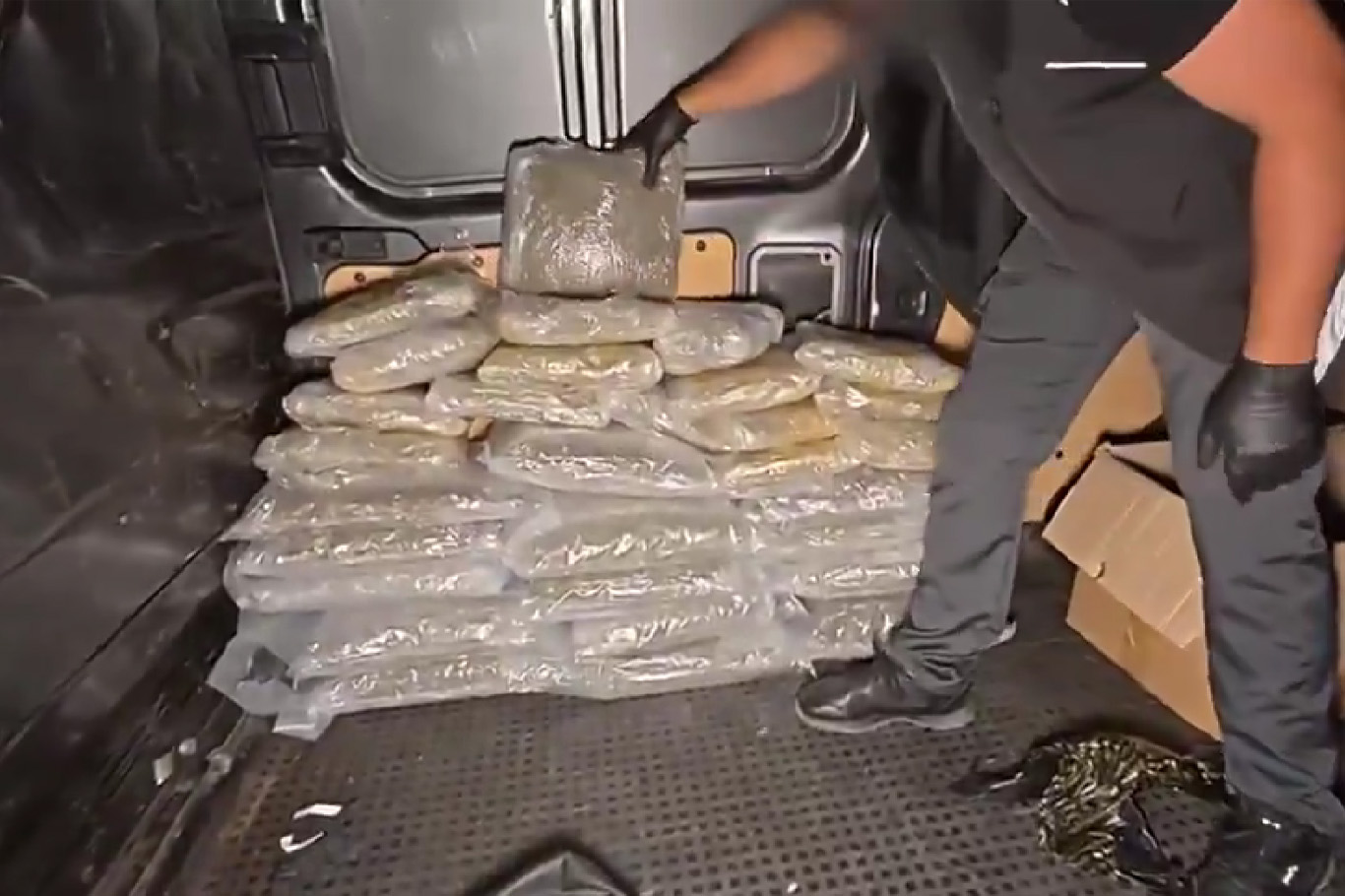 İstanbul'da 45 kilogramdan fazla skunk ele geçirildi