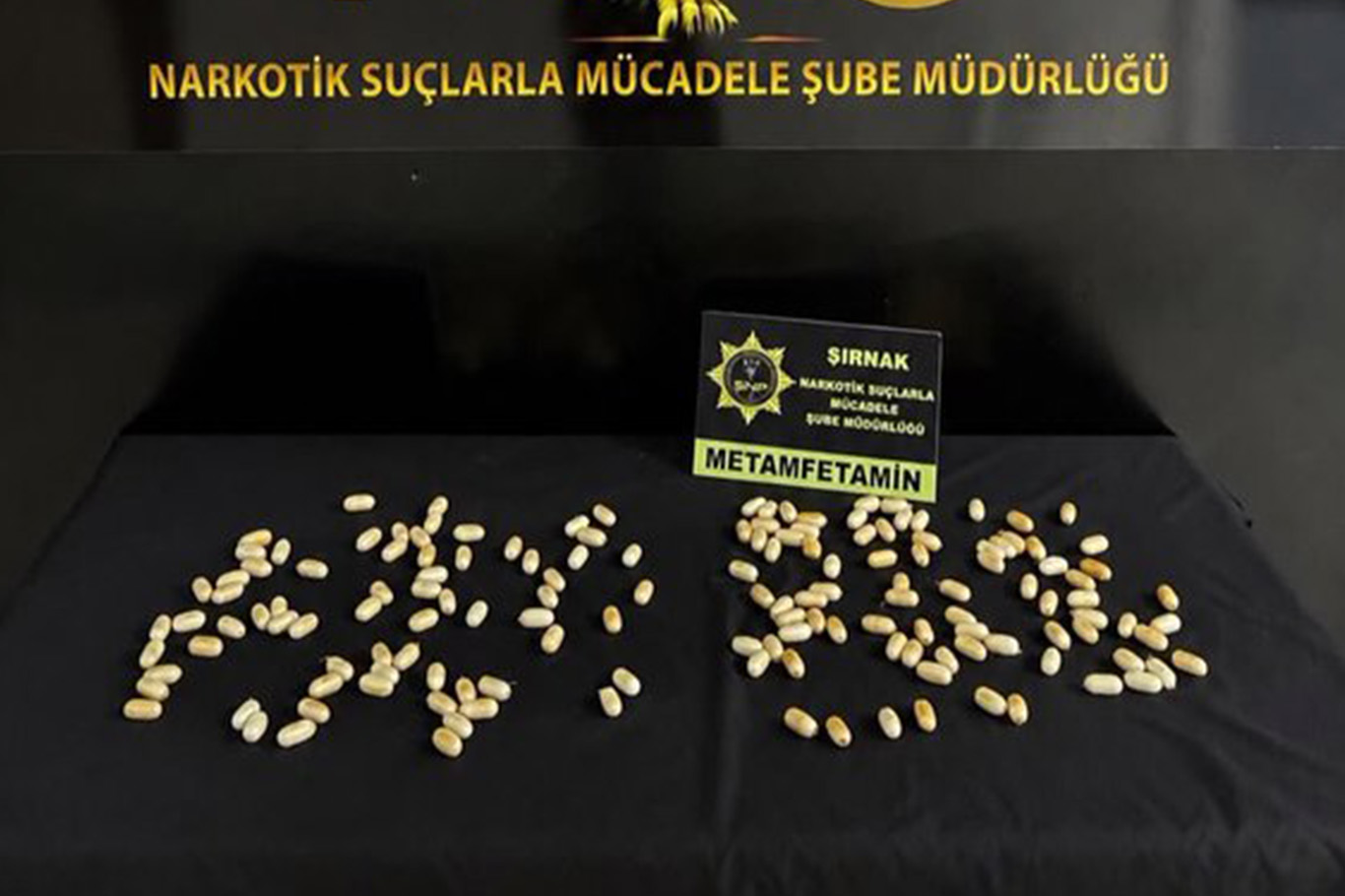 Şırnak'ta midelerinde uyuşturucu taşıyan 2 İranlı yakalandı