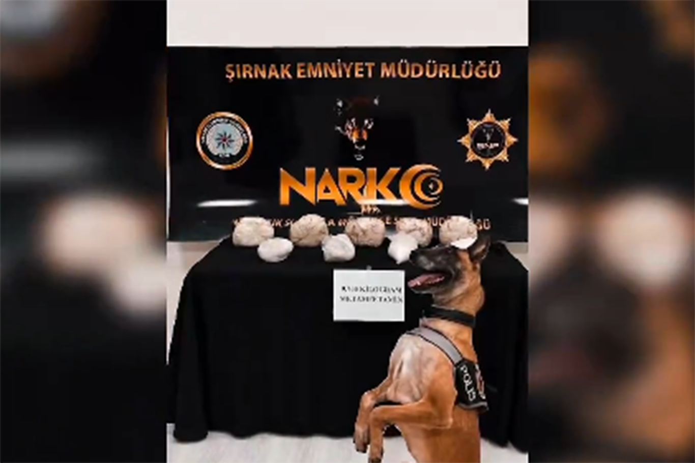 Şırnak'ta 9 kilo 700 gram metamfetamin ele geçirildi