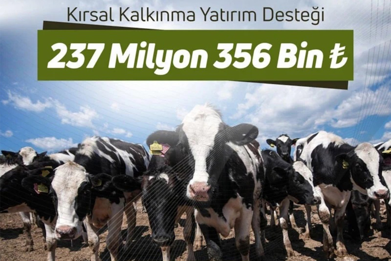 Tarımsal destek ödemesi çiftçilerin hesaplarına aktarılacak