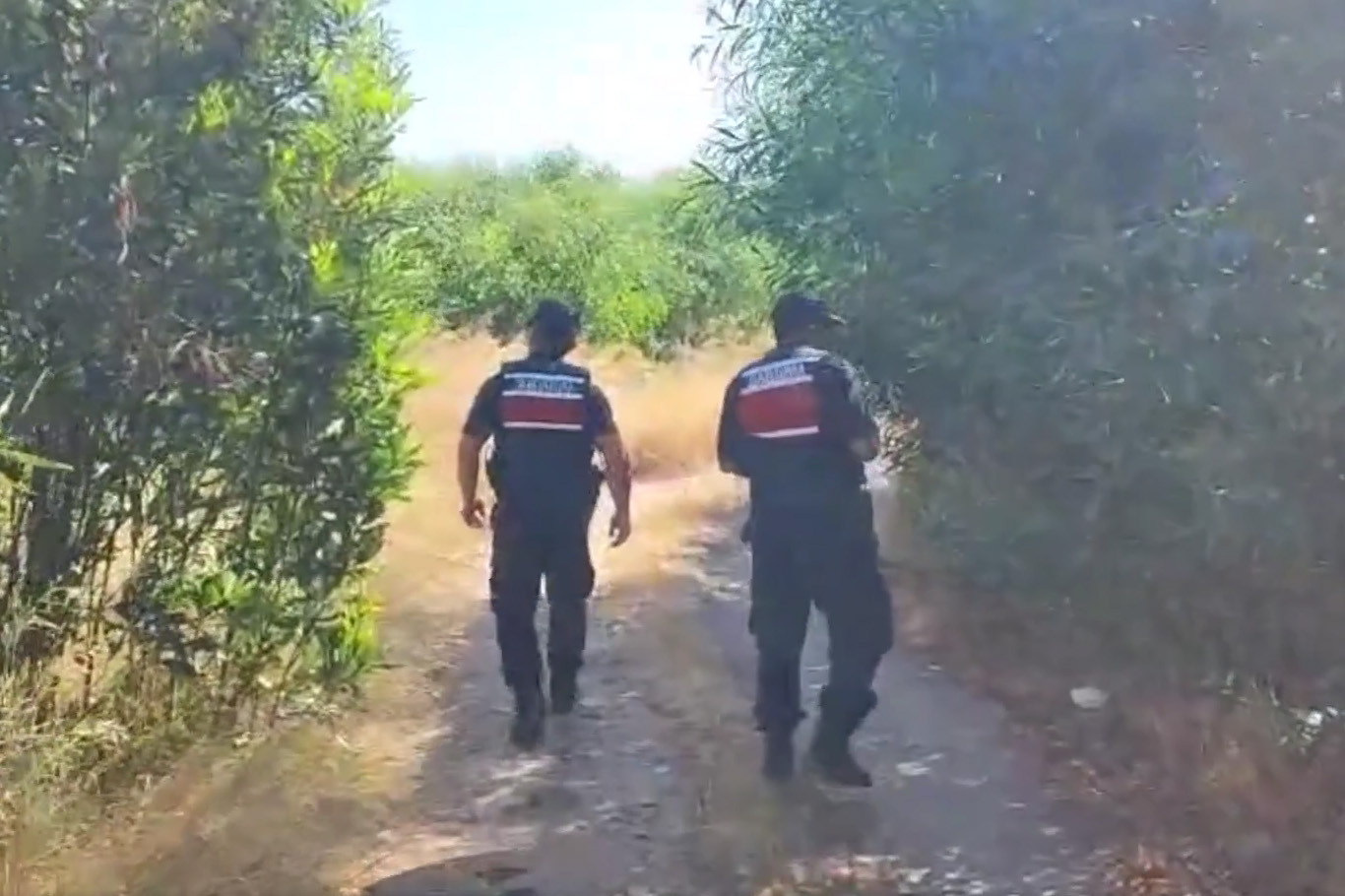 Jandarma: Orman yangınlarına yönelik tedbirleri ihlal eden 456 kişiye işlem yapıldı