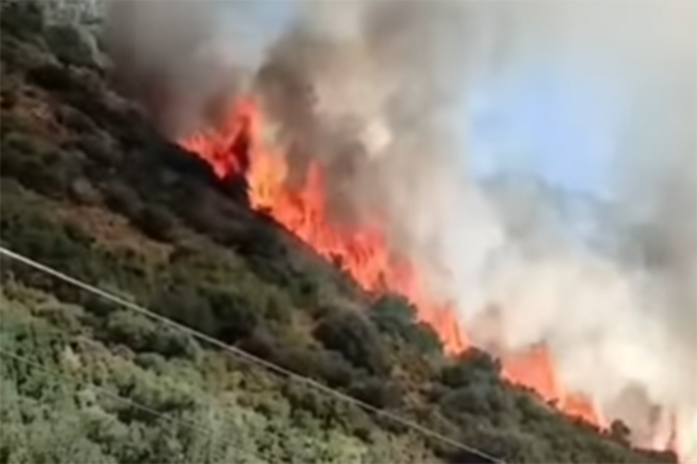 Antalya'da orman yangını