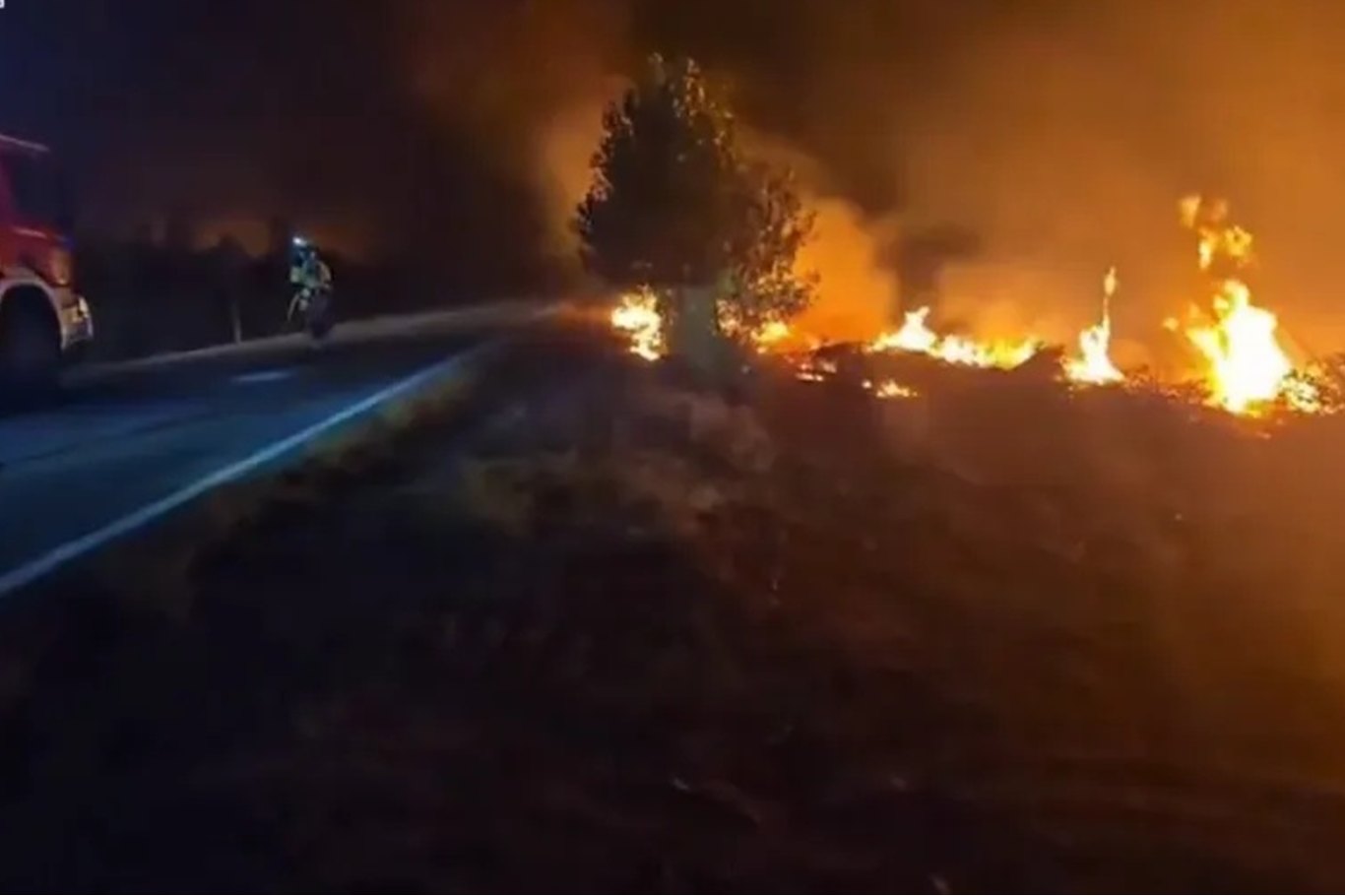 İspanya'nın orta kesiminde orman yangını