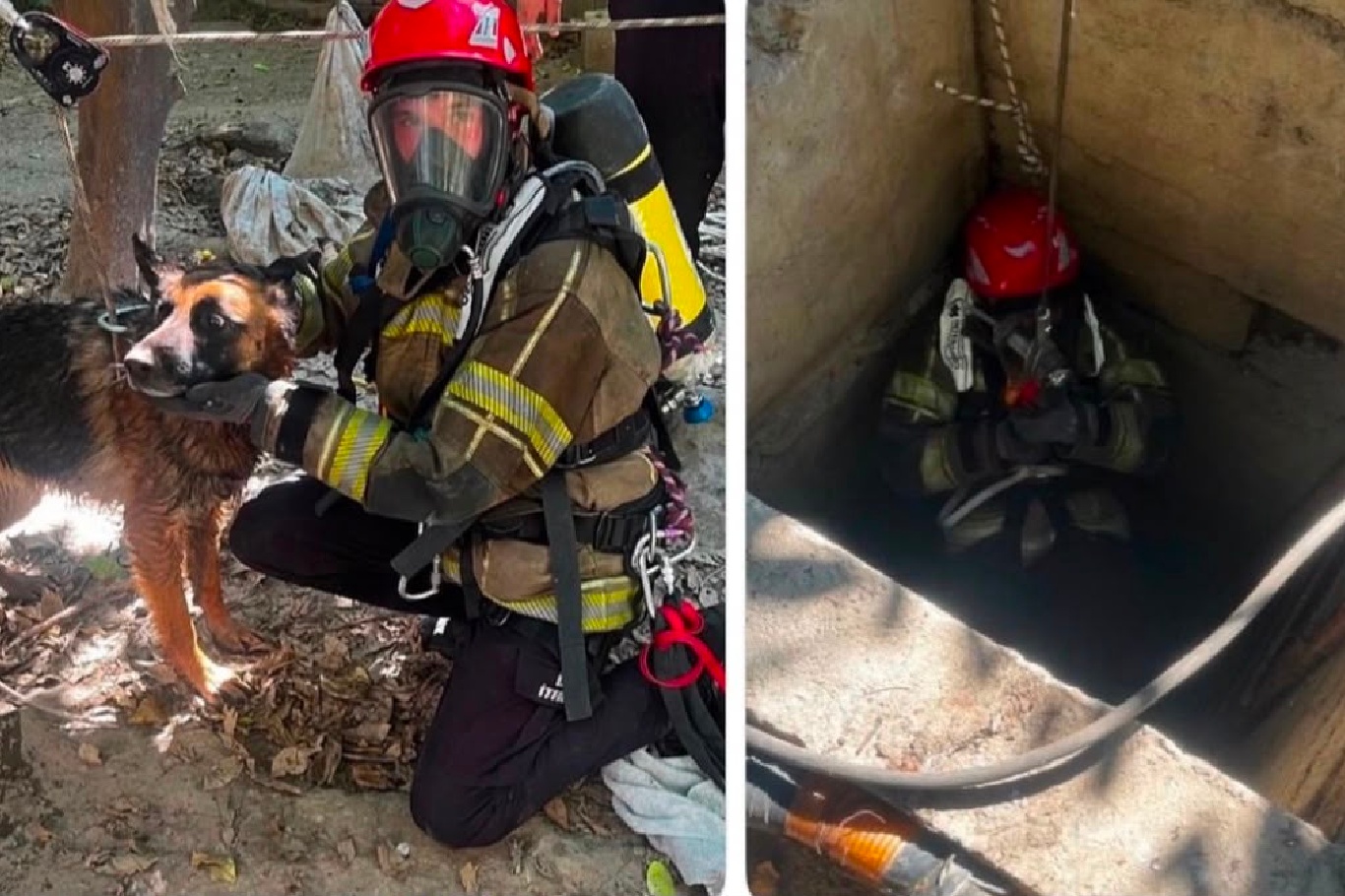 Kuyuya düşen köpek itfaiye ekiplerince kurtarıldı