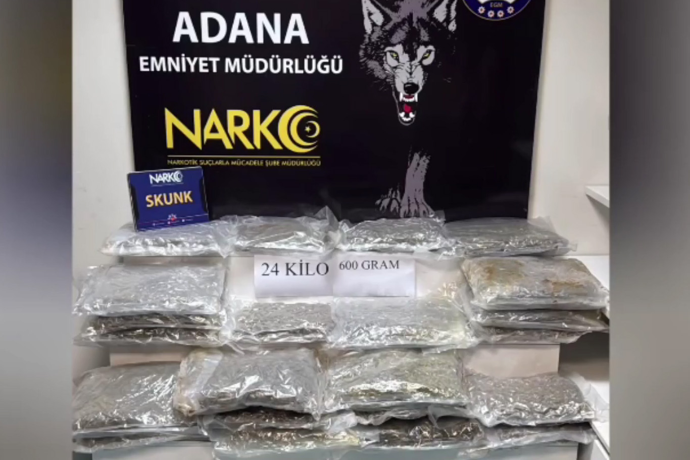 Adana'da 24,6 kilo skunk ele geçirildi