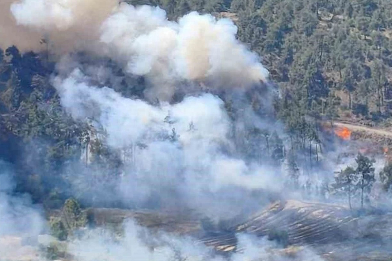 Balıkesir'de orman yangını