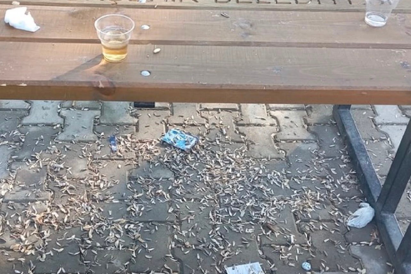 İzmir'de vatandaşlar parklarda denetimlerin artırılmasını talep ediyor