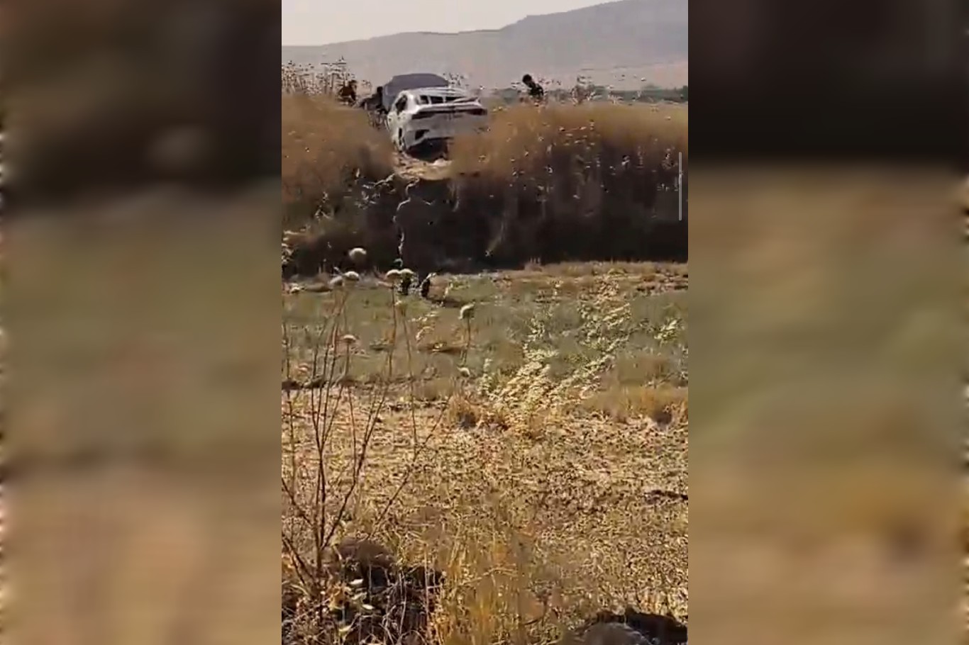 Mardin’de kontrolden çıkan otomobil tarlaya uçtu: 4 yaralı 