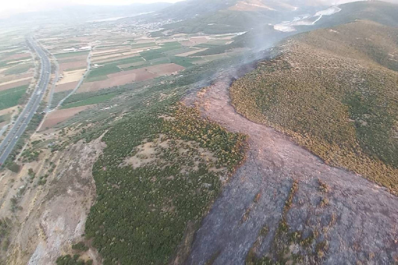 İzmir'de çıkan orman yangını kontrol altına alındı