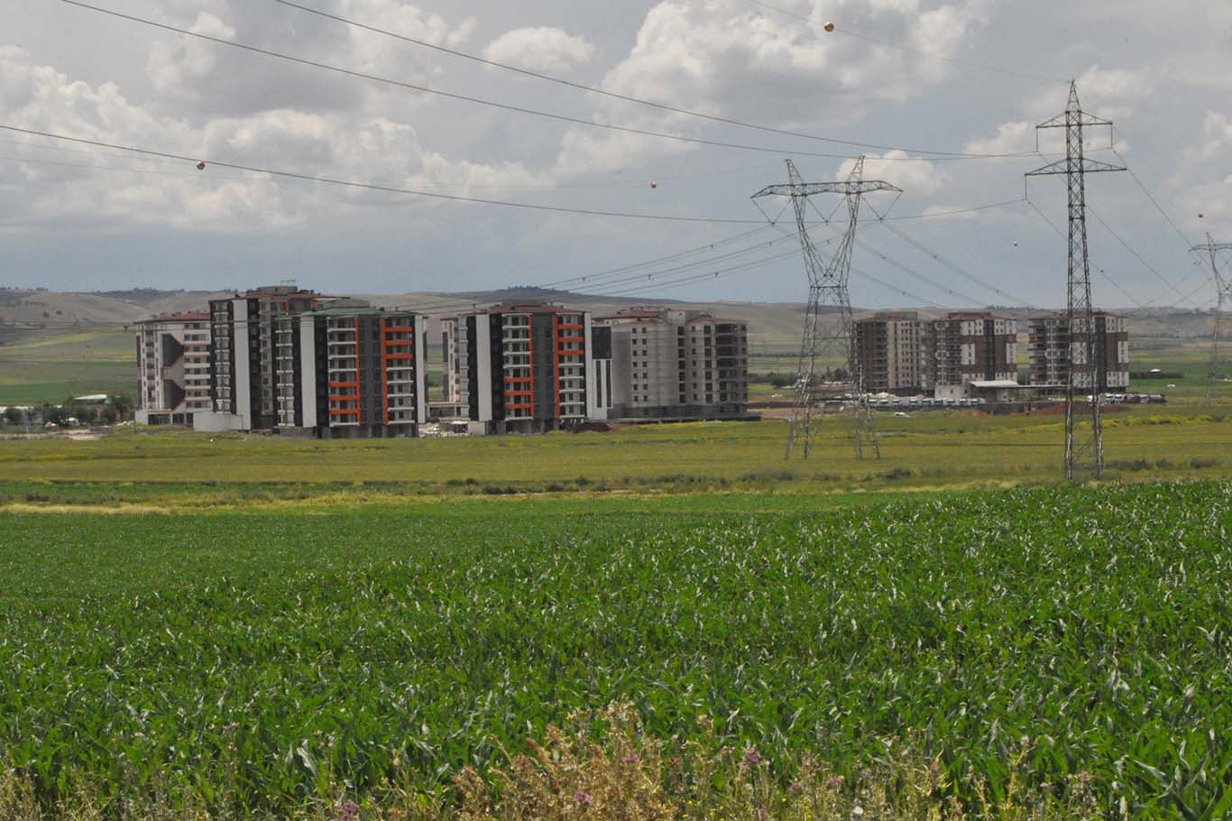 Ziraat Odası Başkanı Aydiş: Tarım arazilerini korumazsak büyük bedel öderiz