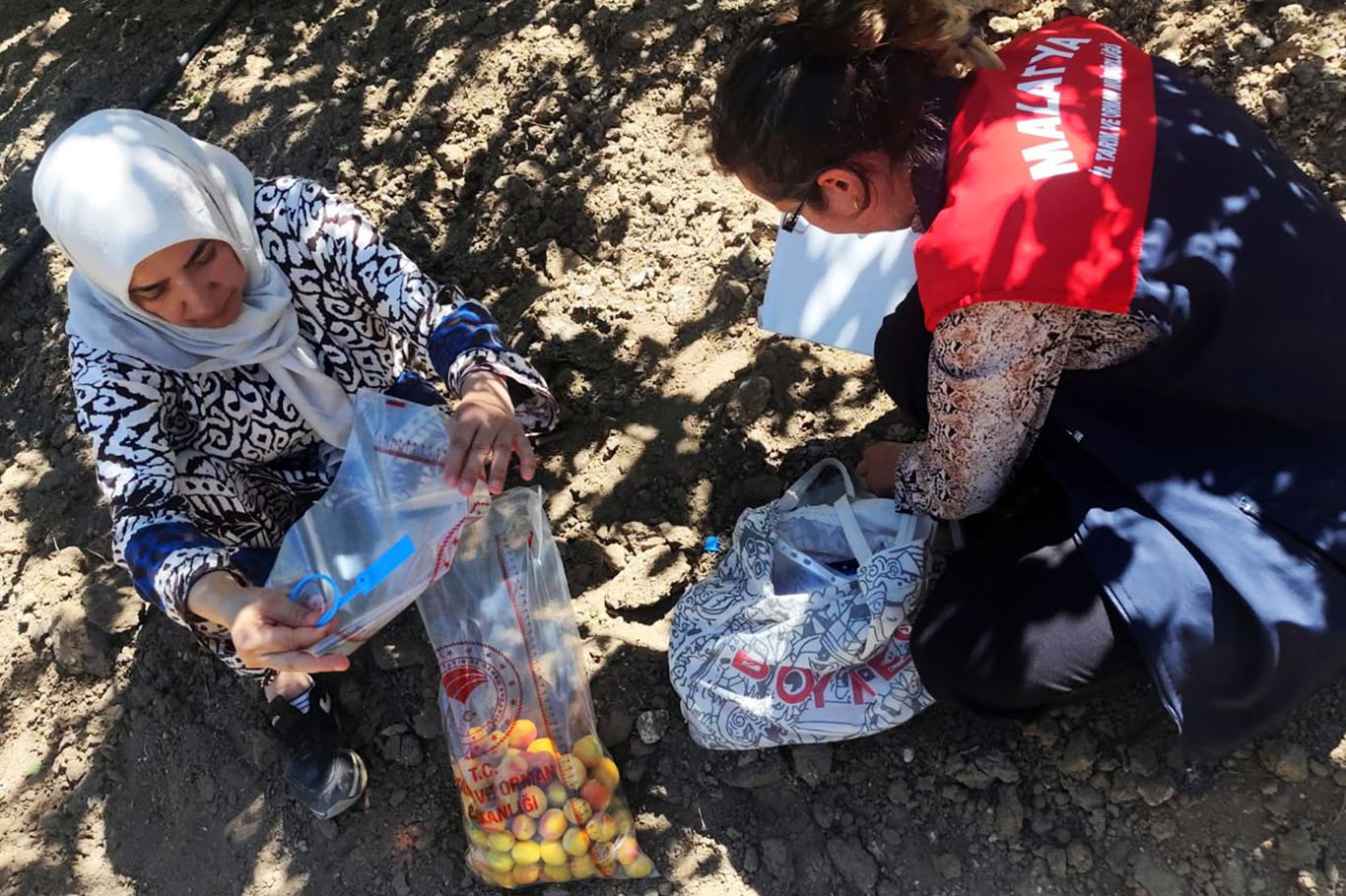 Malatya'da pestisit denetimlerinde 21 üreticiye işlem yapıldı