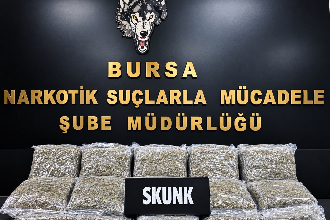 Bursa’da uyuşturucu operasyonu: 45 kilo esrar ele geçirildi