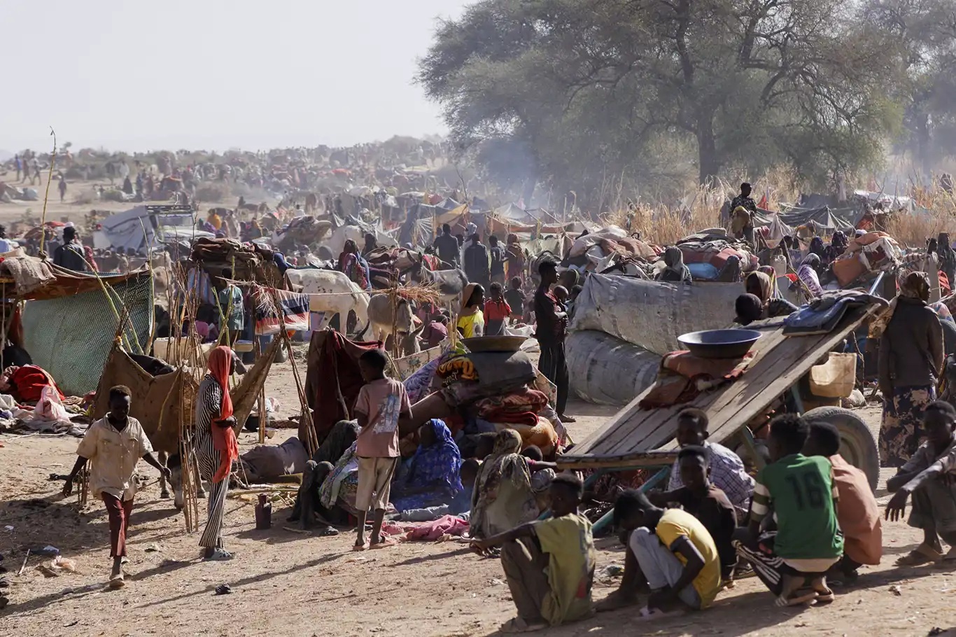Darfur’a silah ambargosu uzatıldı 