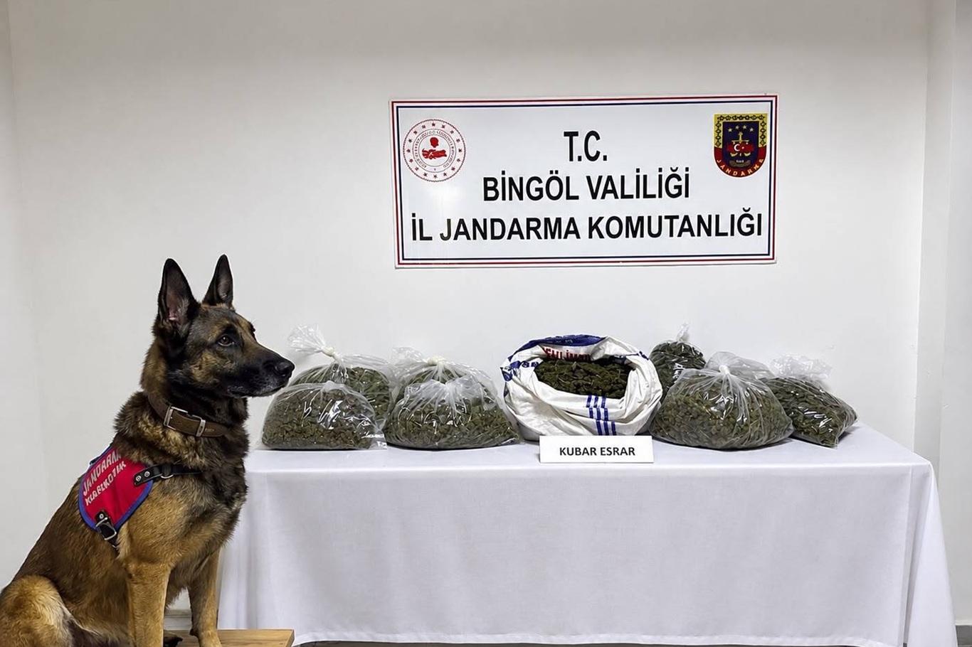 Bingöl'de asayiş, narkotik ve kaçakçılık operasyonları: 31 şüpheli hakkında işlem yapıldı