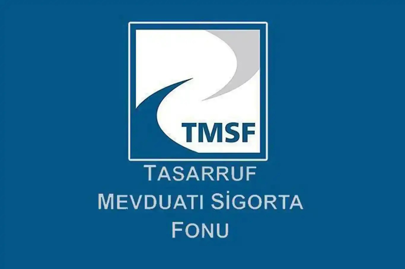 TMSF, Tera Yatırım Teknoloji Holding'e kayyum olarak atandı