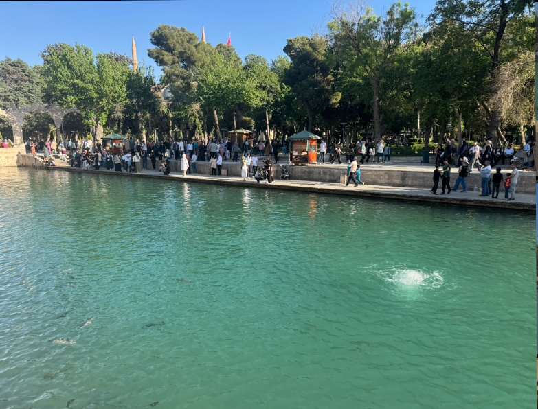 Balıklıgölde park sorununa vatandaşlardan sitem